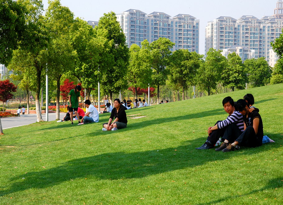 绿茵小憩（张惠芬 摄）.jpg